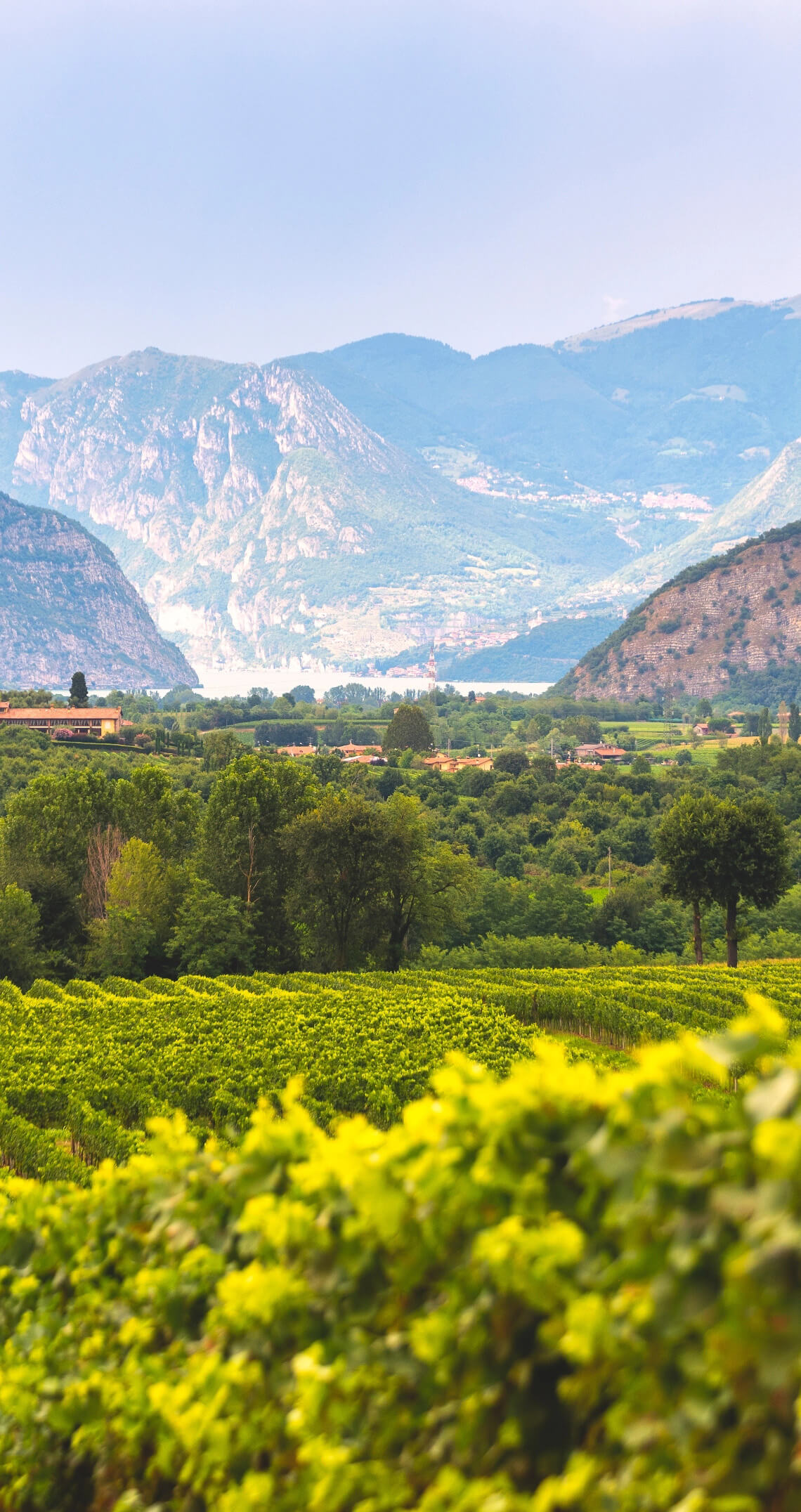 Flavors of Franciacorta